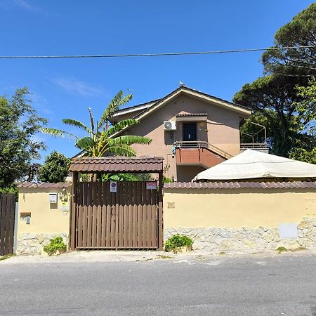 Villa Rimini - Seaview & Roman Holidays Apartments - Garden&Beach 300Mt Анцио Экстерьер фото