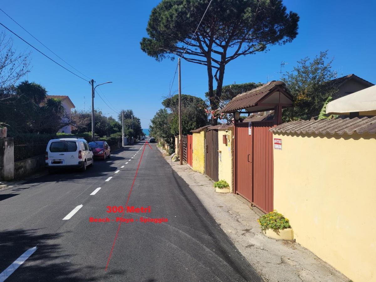Villa Rimini - Seaview & Roman Holidays Apartments - Garden&Beach 300Mt Анцио Экстерьер фото